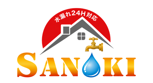 SANOKI International Logo